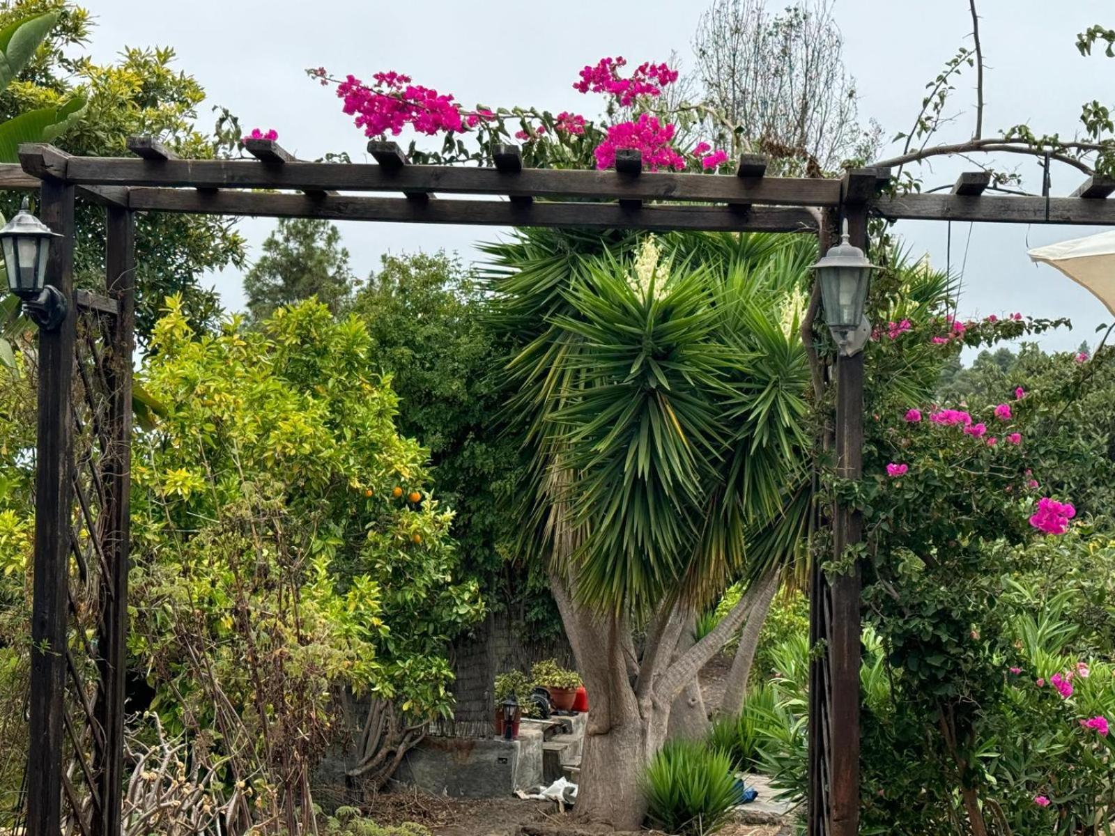 Lodge Oasis Hill Botanical Garden Icod De Los Vinos