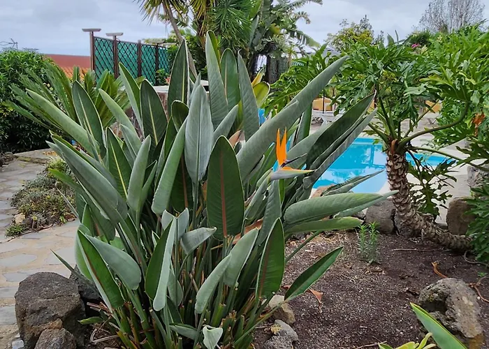 Oasis Hill Botanical Garden