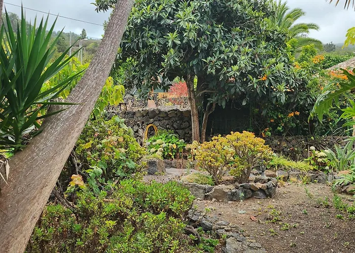 Oasis Hill Botanical Garden