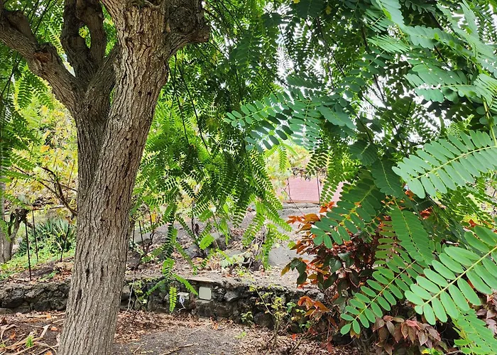 Oasis Hill Botanical Garden