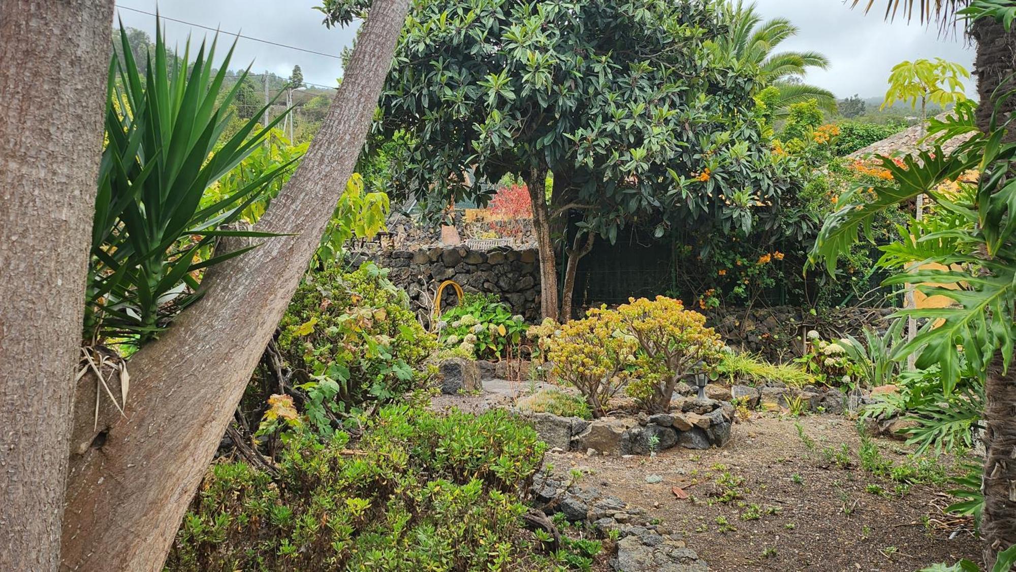 Oasis Hill Botanical Garden Lodge *