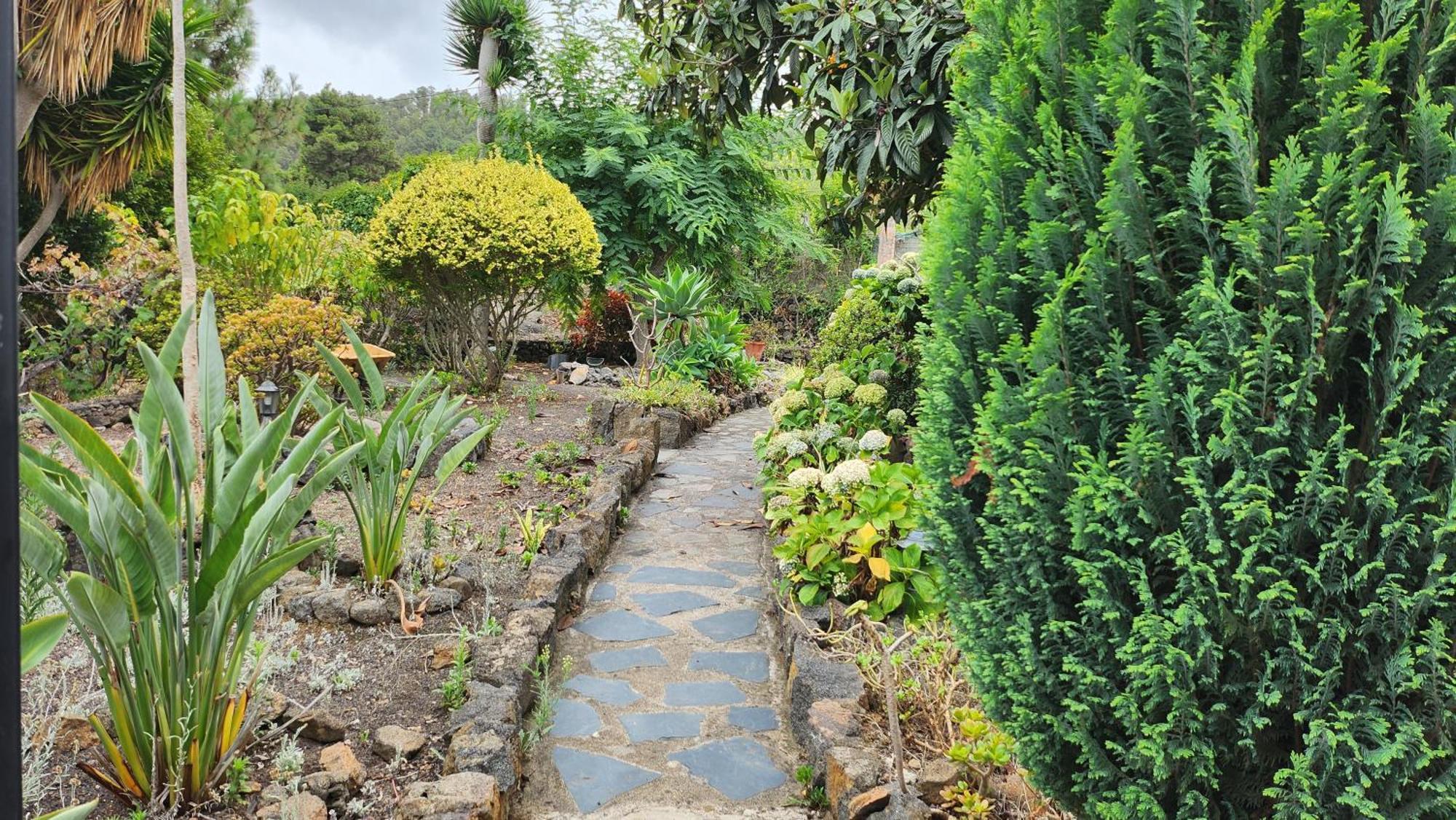 Oasis Hill Botanical Garden Lodge *