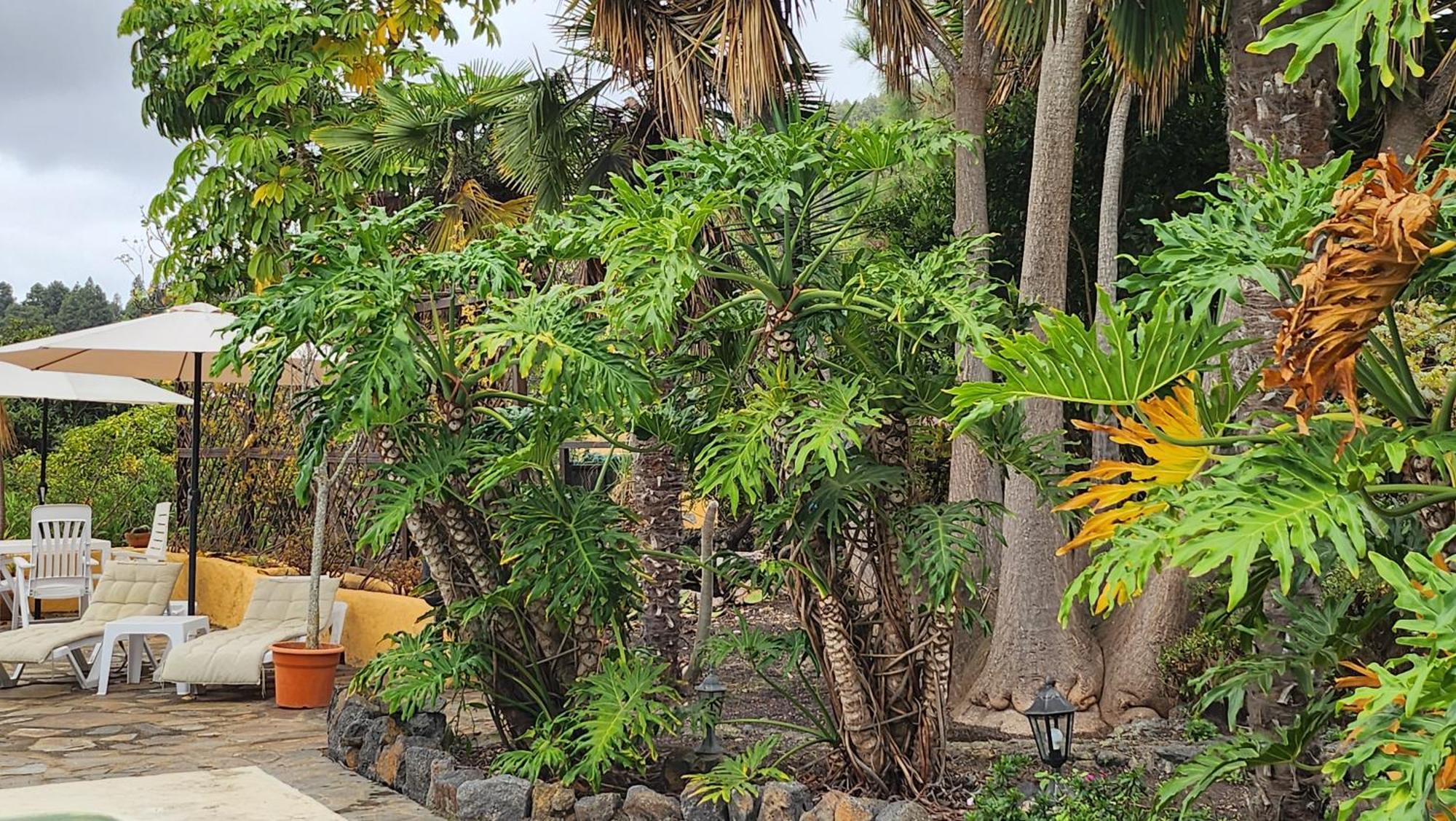 Oasis Hill Botanical Garden Lodge