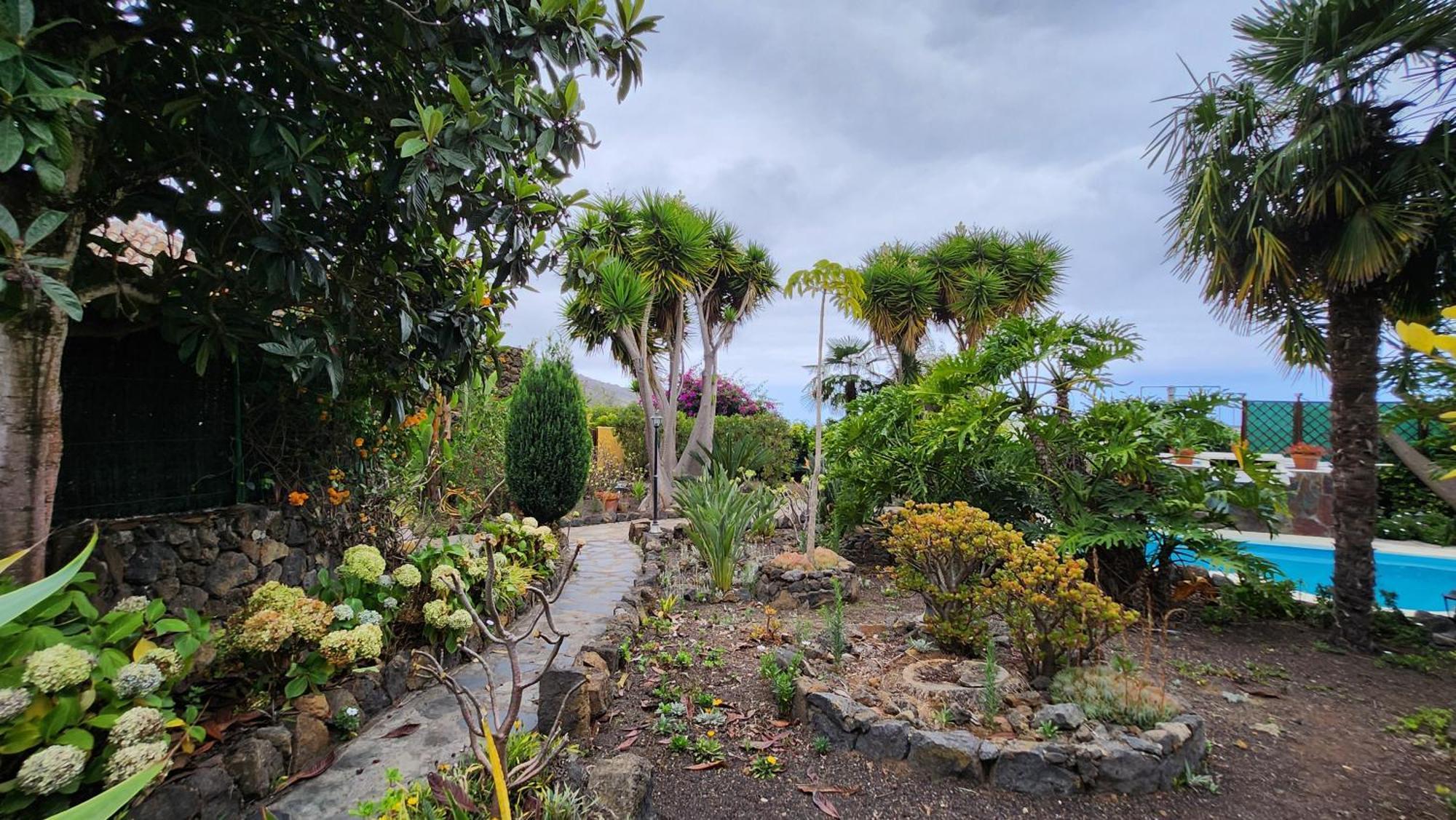 Oasis Hill Botanical Garden Lodge Icod De Los Vinos