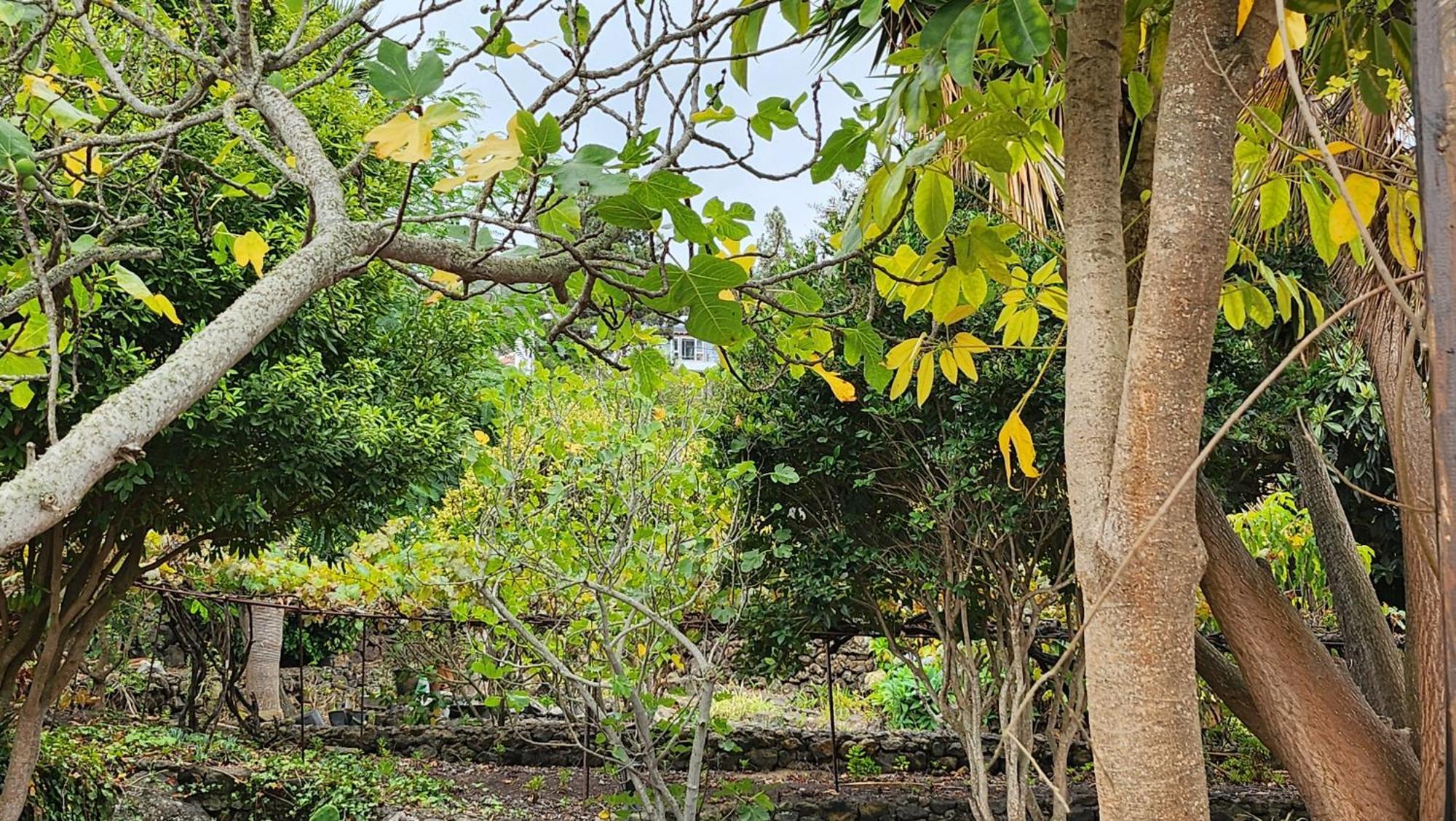 Lodge Oasis Hill Botanical Garden